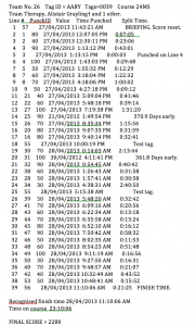 Rogue_2013_results_tags